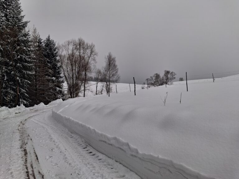 Koniec wystawy, początek roku