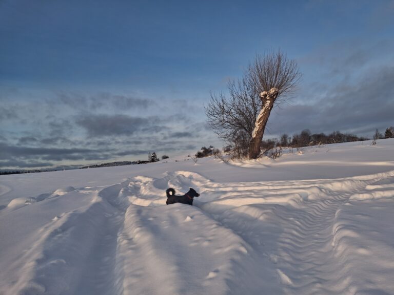 Zima i wspomnienia starej Skody