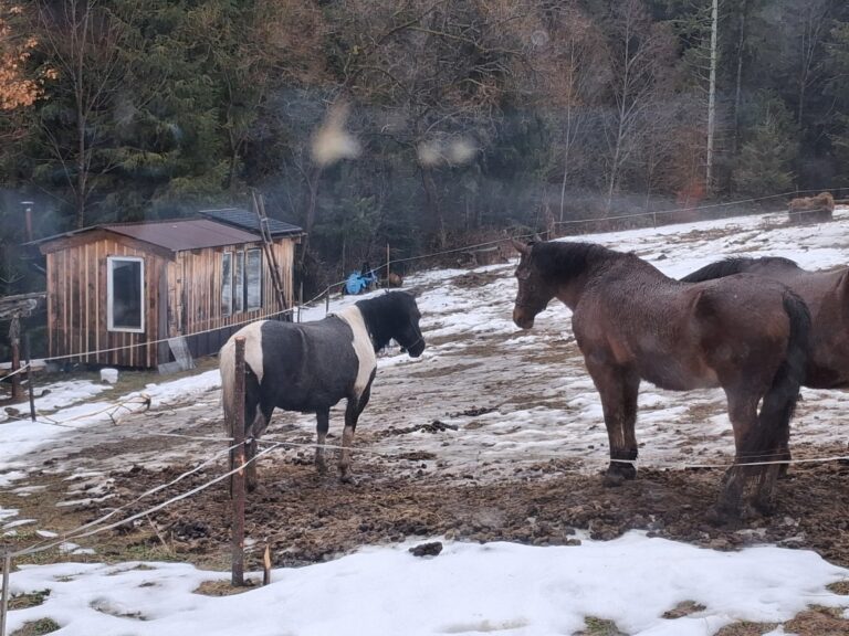Wyłaniając się z mroku